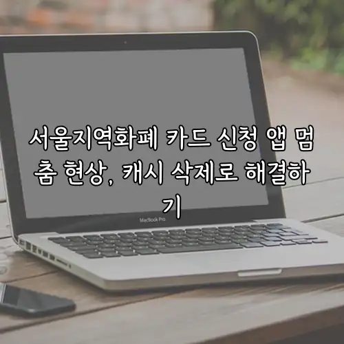 서울지역화폐 카드 신청 앱 멈춤 현상, 캐시 삭제로 해결하기