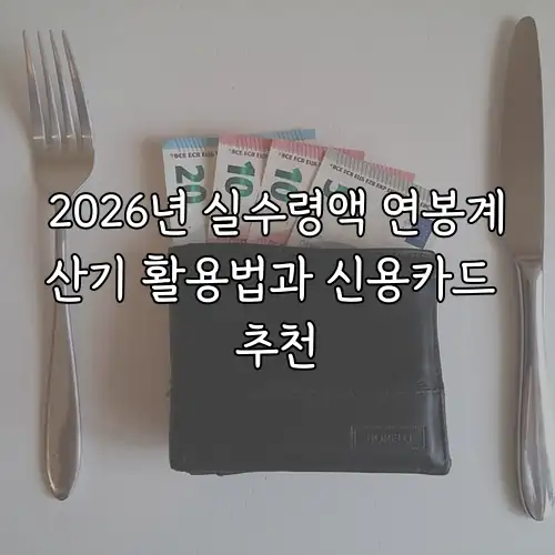 2026년 실수령액 연봉계산기 활용법과 신용카드 추천