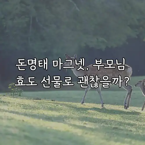 돈명태 마그넷, 부모님 효도 선물로 괜찮을까?