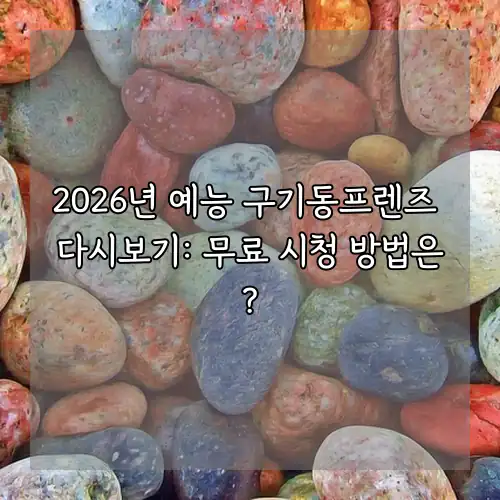 2026년 예능 구기동프렌즈 다시보기: 무료 시청 방법은?