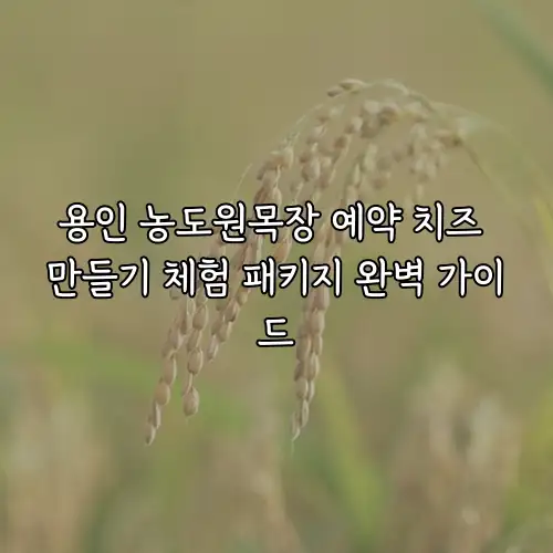 용인 농도원목장 예약 치즈 만들기 체험 패키지 완벽 가이드