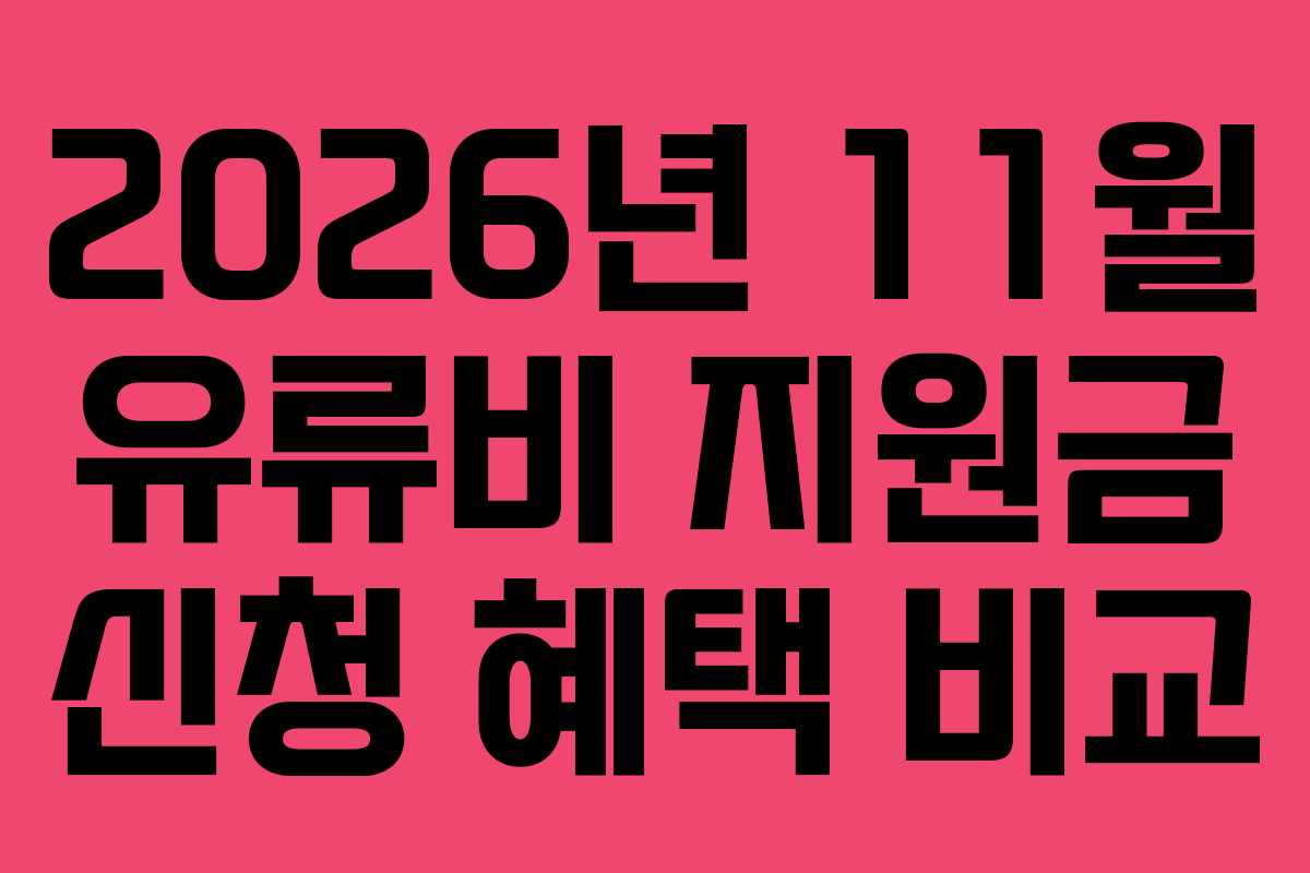 2026년 11월 유류비 지원금 신청 혜택 비교