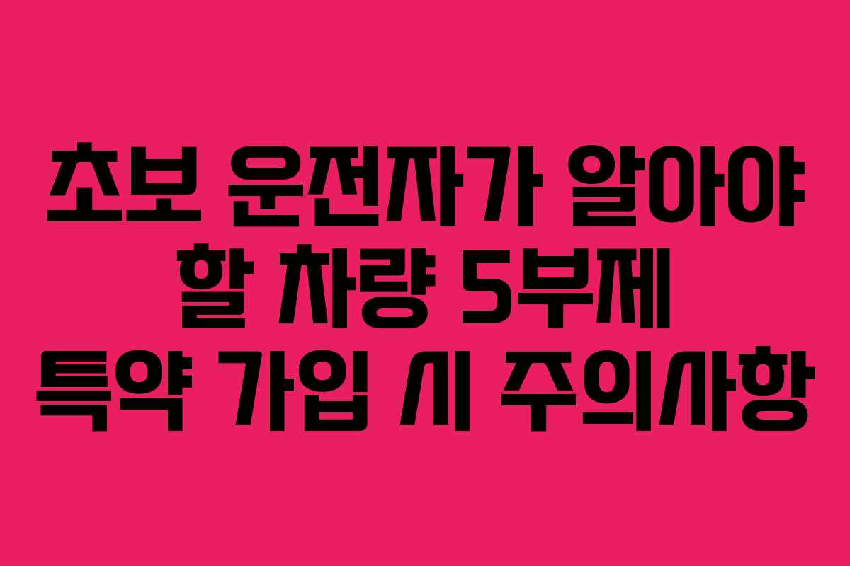 초보 운전자가 알아야 할 차량 5부제 특약 가입 시 주의사항