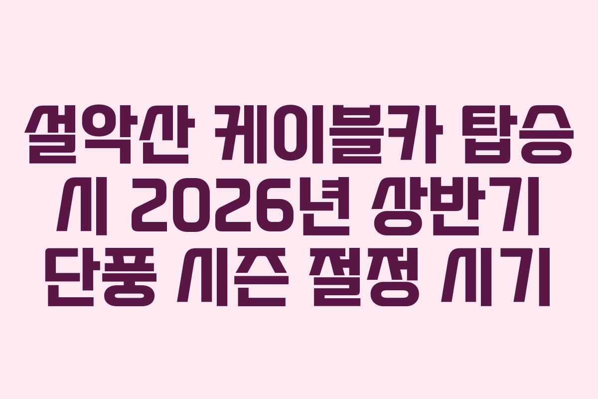 설악산-케이블카-탑승-시-2026년-상반기-단풍-시즌-절정-시기