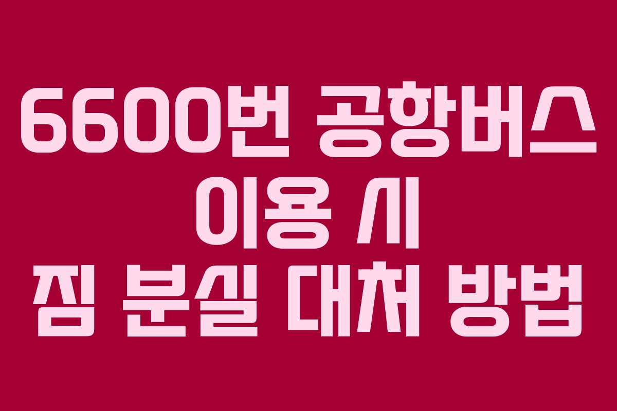 6600번-공항버스-이용-시-짐-분실-대처-방법