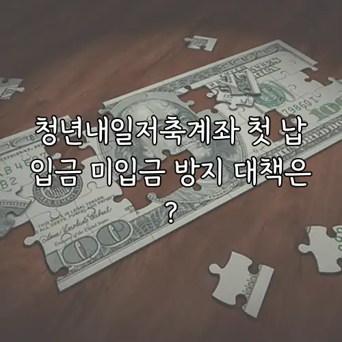 청년내일저축계좌 첫 납입금 미입금 방지 대책은?