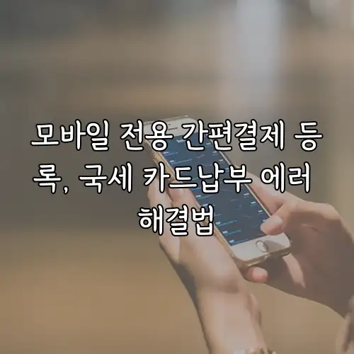 모바일 전용 간편결제 등록, 국세 카드납부 에러 해결법