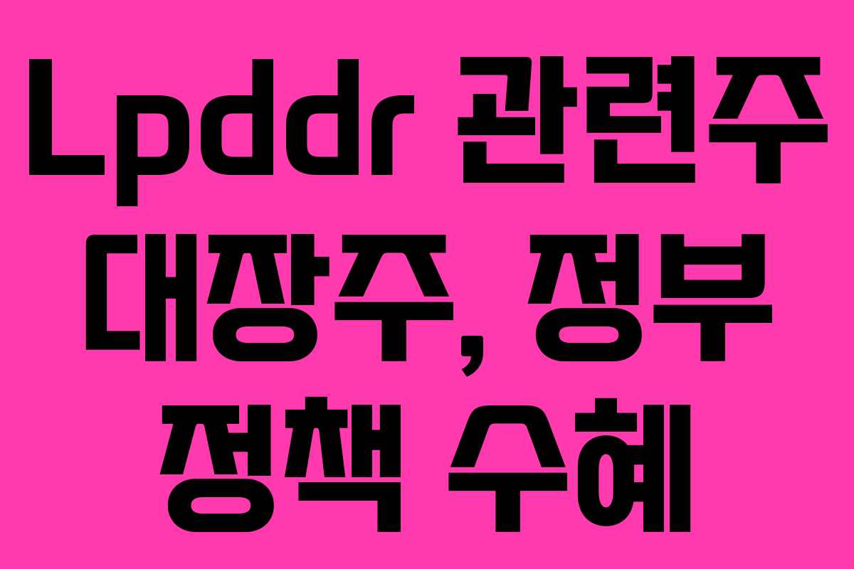 Lpddr-관련주-대장주,-정부-정책-수혜
