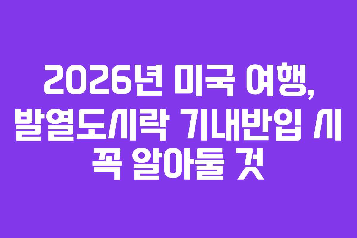 2026년-미국-여행,-발열도시락-기내반입-시-꼭-알아둘-것