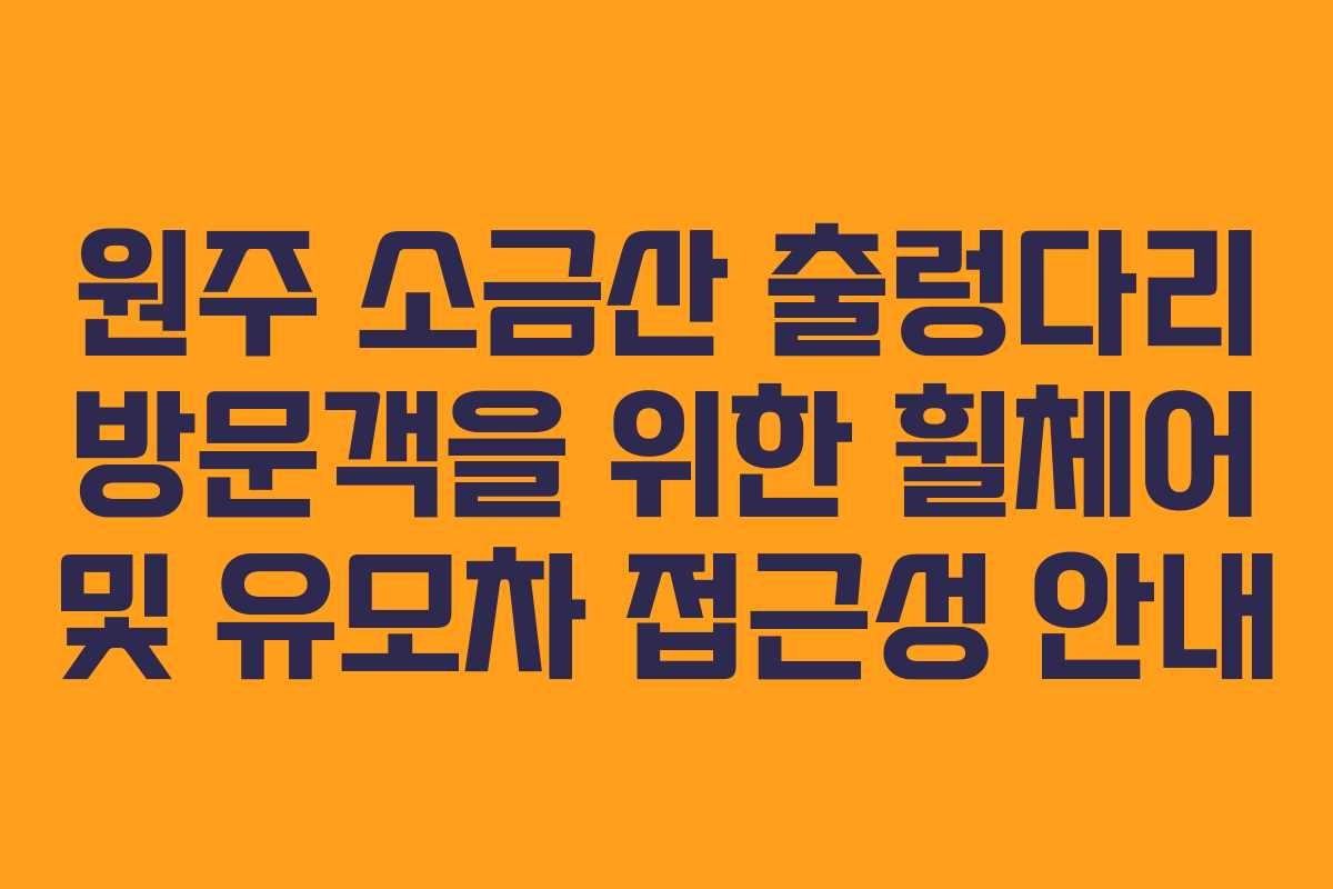 원주-소금산-출렁다리-방문객을-위한-휠체어-및-유모차-접근성-안내