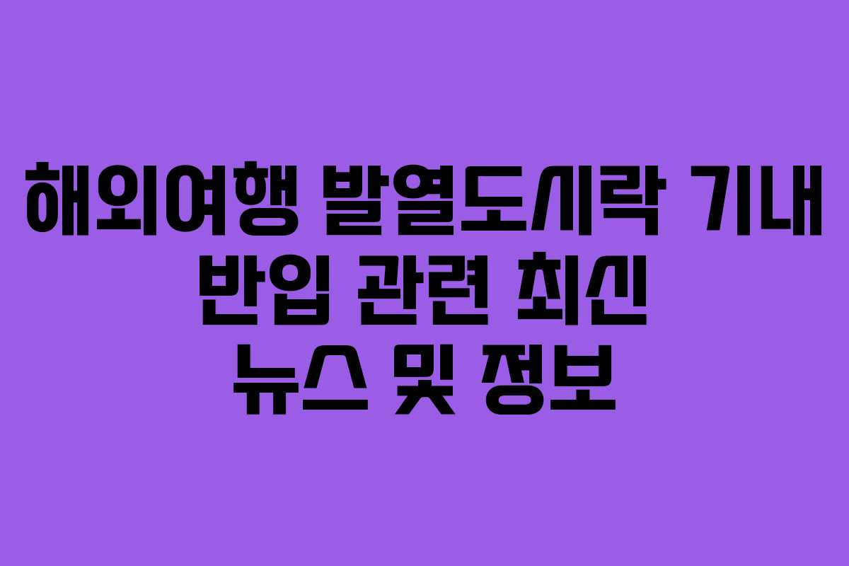 해외여행-발열도시락-기내-반입-관련-최신-뉴스-및-정보