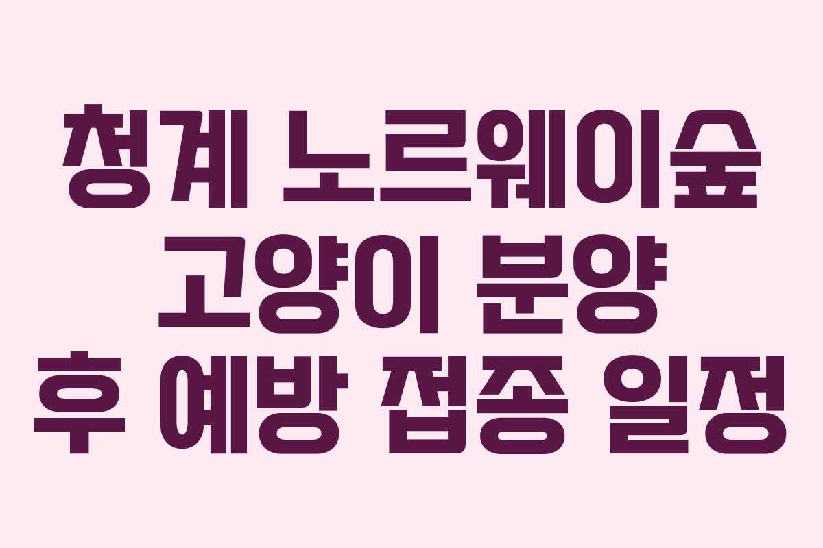 청계-노르웨이숲-고양이-분양-후-예방-접종-일정