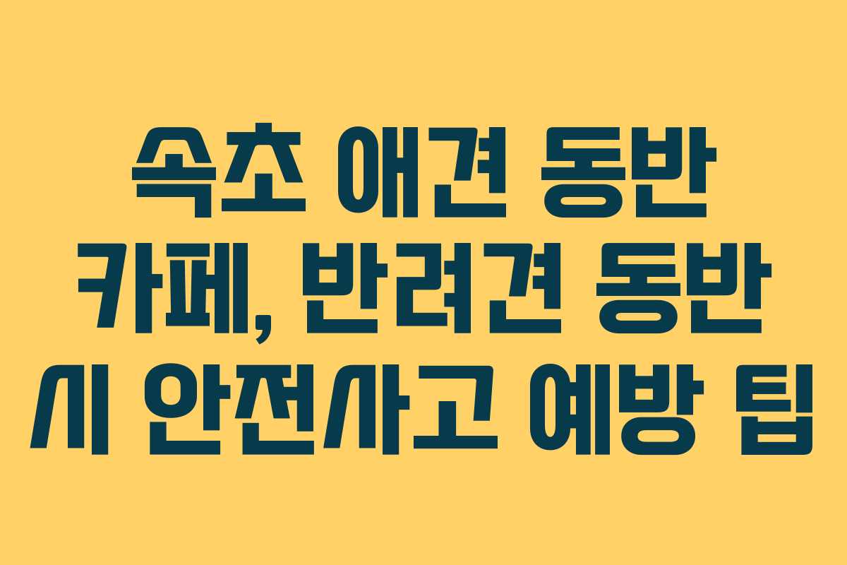 속초-애견-동반-카페,-반려견-동반-시-안전사고-예방-팁