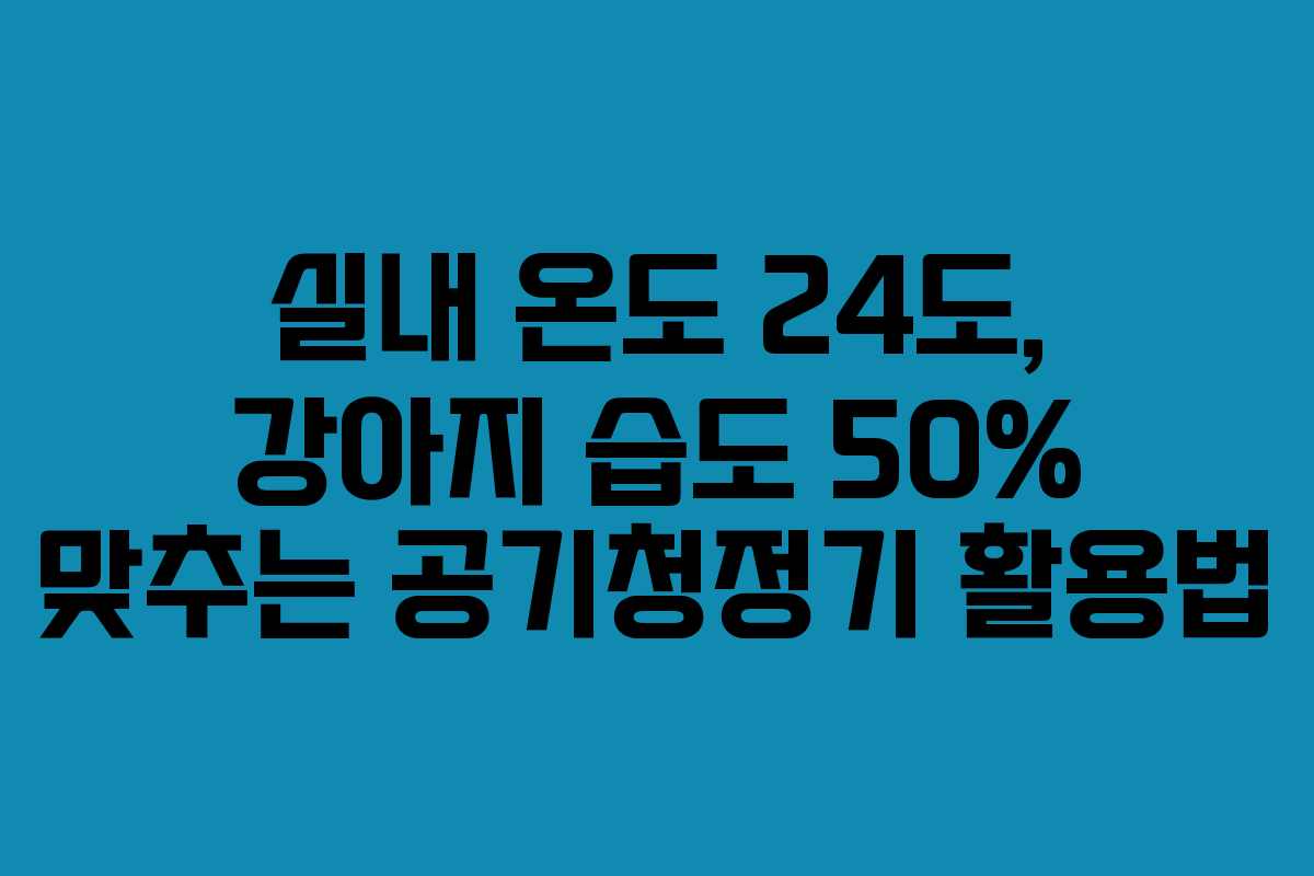 실내-온도-24도,-강아지-습도-50%-맞추는-공기청정기-활용법